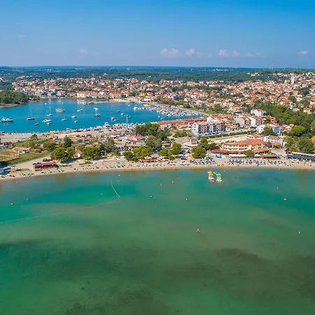 Awesome In With Wifi Apartment *