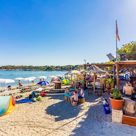 Apartment Awesome In With Wifi *