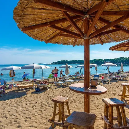 Apartment Awesome In With Wifi *